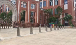 学校91视频免费在观看是否有必要